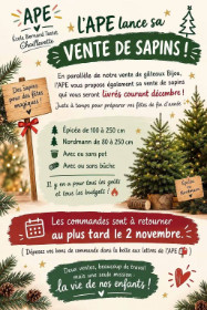 VENTE SAPINS NOEL 